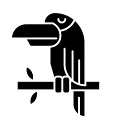 toucan bird element
