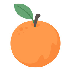 Orange illustration. Illustration on white background, hand drawn. Suitable for children's books, stickers, infographics and packaging design