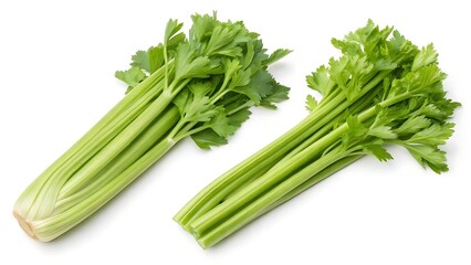 Obraz premium Freshly harvested two bunches of crisp green celery stalks with vibrant leaves isolated on white background