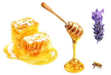 Watercolor Honey and Lavender Illustration, Natural Sweet Ingredients Set