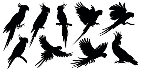 Black parrot silhouettes flying bird vector set