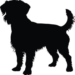 Silhouette of a Small Fluffy Dog Standing