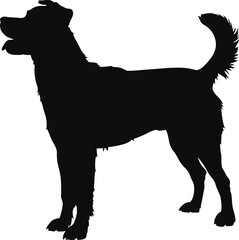 Black Silhouette of a Medium Sized Dog Standing
