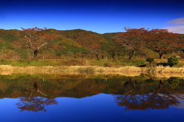 岩手県遠野市　秋の仙人峠