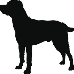 Black Silhouette of a Medium Sized Dog Standing