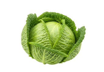 Obraz premium Fresh green savoy cabbage isolated on transparent background