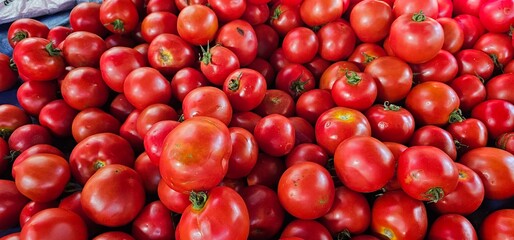 Fresh tomatoes close up view