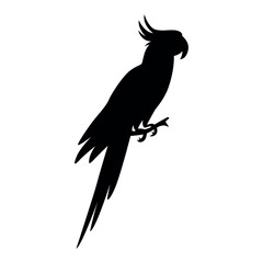 Black parrot silhouette on branch exotic bird vector