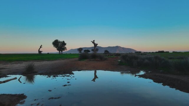 A tranquil scene captures the stillness of a pond reflecting the silhouette of a lone tree, framed by a vibrant blue sky and distant hills, evoking a sense of peace and solitude.