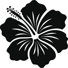 Black and White Hibiscus Flower Silhouette Illustration