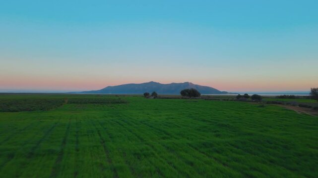 A tranquil view of the Tunisian countryside at dusk, featuring lush green fields, scattered trees, and a distant mountain under a gradient sky, capturing the essence of rural beauty and peacefulness.