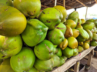 Green Fresh Coconut Partially Consumed for Natural Hydration and Tropical Summer Refreshment