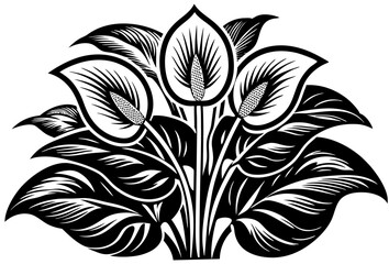 black and white flower