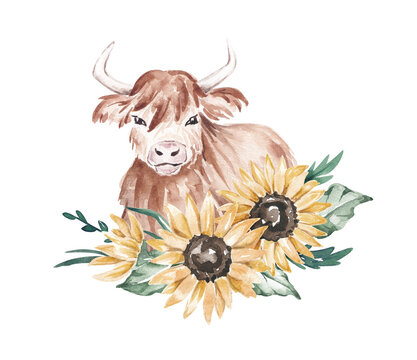 Composition with sunflowers and hihland cow. Colorful painting. Summer field flowrs hand drawn with watercolor. Farm, countryside illustration for card, logo, invitation, banner