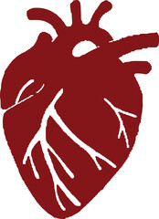 Stylized Red Human Heart Anatomy Illustration