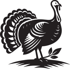 Black and White Turkey Bird Vector Illustration