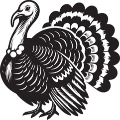 Black and White Turkey Bird Vector Illustration