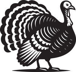 Black and White Turkey Bird Vector Illustration