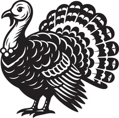 Black and White Turkey Bird Vector Illustration