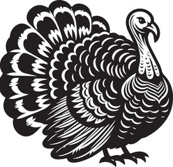 Black and White Turkey Bird Vector Illustration