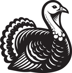 Black and White Turkey Bird Vector Illustration