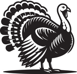 Black and White Turkey Bird Vector Illustration