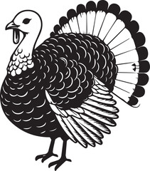 Black and White Turkey Bird Vector Illustration