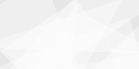  polygons as background geometric style with simple lines and corners, polygons as background paper texture.Abstract background with white and gray and geometric style with simple lines and corners,