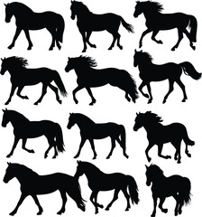 Collection of Twelve Horse Silhouettes in Various Poses