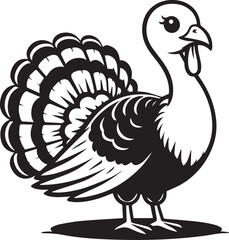 Black and White Turkey Bird Vector Illustration