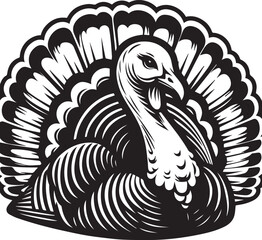 Black and White Turkey Bird Vector Illustration