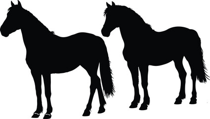 Two Horse Silhouettes Standing Side by Side