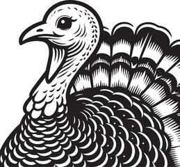 Black and White Turkey Bird Vector Illustration