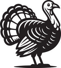 Black and White Turkey Bird Vector Illustration