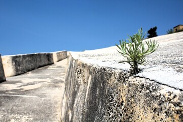 evocative image of the "Cretto di Burri" work of environmental art
built on the ruins of Gibellina nel Belice in Sicily destroyed by the earthquake of 1968