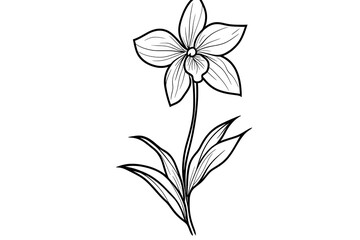 Fototapeta premium Elegant Black & White Floral Outline Single Flower with Stem and Leaves