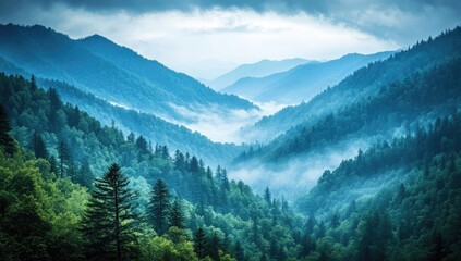 A panoramic view of the Great Smoky Mountains, showing mist-covered hills and lush green forests under an overcast sky.