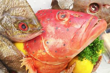 Closeup on freshness fishes heads for sell at fish market with cold ice, yellow lime and coriander decoration.
