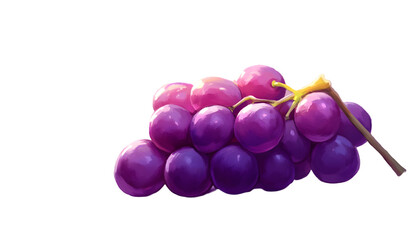 Purple grapes bunch