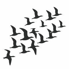 Fototapeta premium A vector set of flying bird silhouettes, featuring black illustrations of various avian wildlife