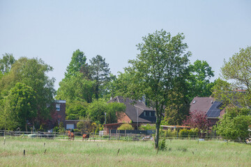 Moderne Wohngeb&auml;ude im Gr&uuml;nen,  Bad Zwischenahn, Niedersachsen, Deutschland