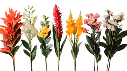 Colorful tropical flowers in vibrant hues