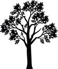 Black Silhouette of a Single Deciduous Tree