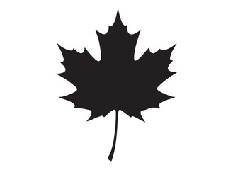 maple leaf logo silhouette vector design, maple leaf black silhouette logo icon, black maple leaves vector illustration, maple leaf canadian icon logo isolated on white background