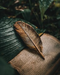 Feather on Wet Leaf