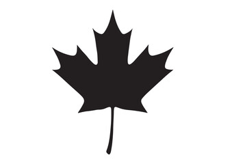 maple leaf logo silhouette vector design, maple leaf black silhouette logo icon, black maple leaves vector illustration, maple leaf canadian icon logo isolated on white background
