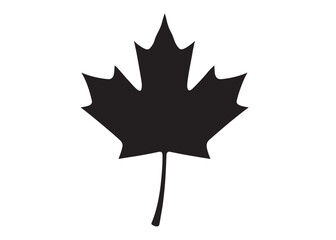 maple leaf logo silhouette vector design, maple leaf black silhouette logo icon, black maple leaves vector illustration, maple leaf canadian icon logo isolated on white background