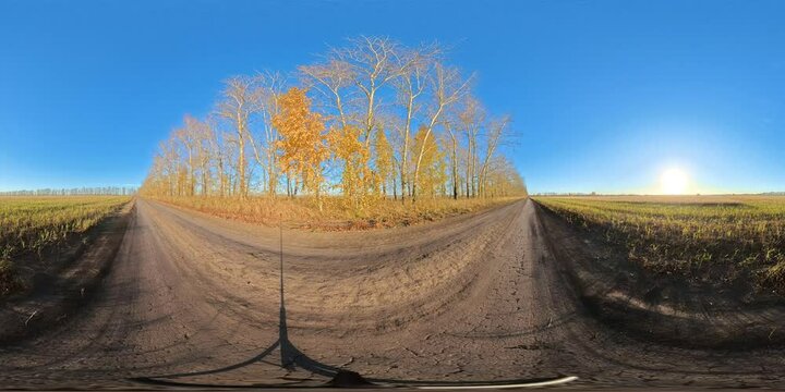 Spherical panorama revealing landscape with golden autumn trees lining dirt road under bright blue sky in 360-degree panorama