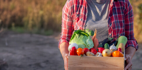 Female farmer holding a wooden crate full of fresh vegetables © Anna