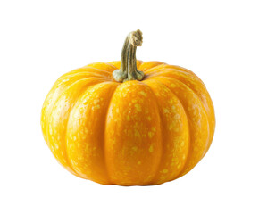Obraz premium Bright and vibrant pumpkin perfect for autumn decorations and cooking on a transparent background, cut out